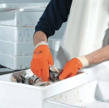 MAPA HARPON 319 NO: 9/9,5