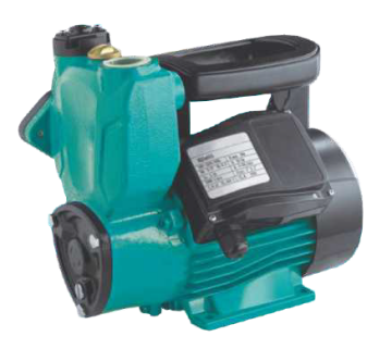 Duffmart QSM800 Kendinden Emişli Sıcak Soğuk Su Pompası